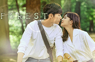  ซีรีย์เกาหลี Forest เรื่องย่อ
